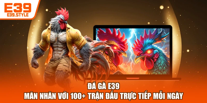 Đá Gà E39 - Mãn Nhãn Với 100+ Trận Đấu Trực Tiếp Mỗi Ngày