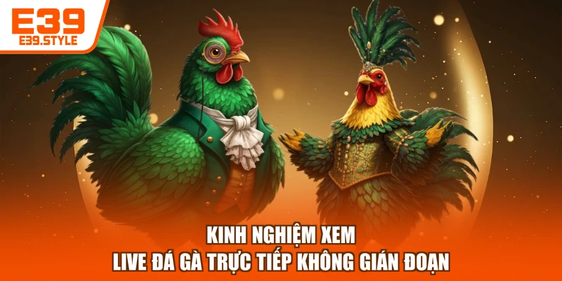 Kinh nghiệm xem live đá gà trực tiếp không gián đoạn