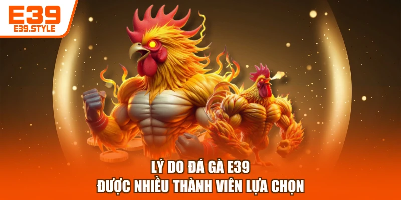 Lý do đá gà E39 được nhiều thành viên lựa chọn